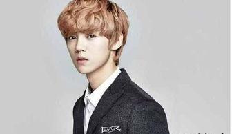 台湾爆料鹿晗事件真相视频,真相大白背后的曲折历程